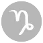 Capricorn Stargazer Zodiac Ring