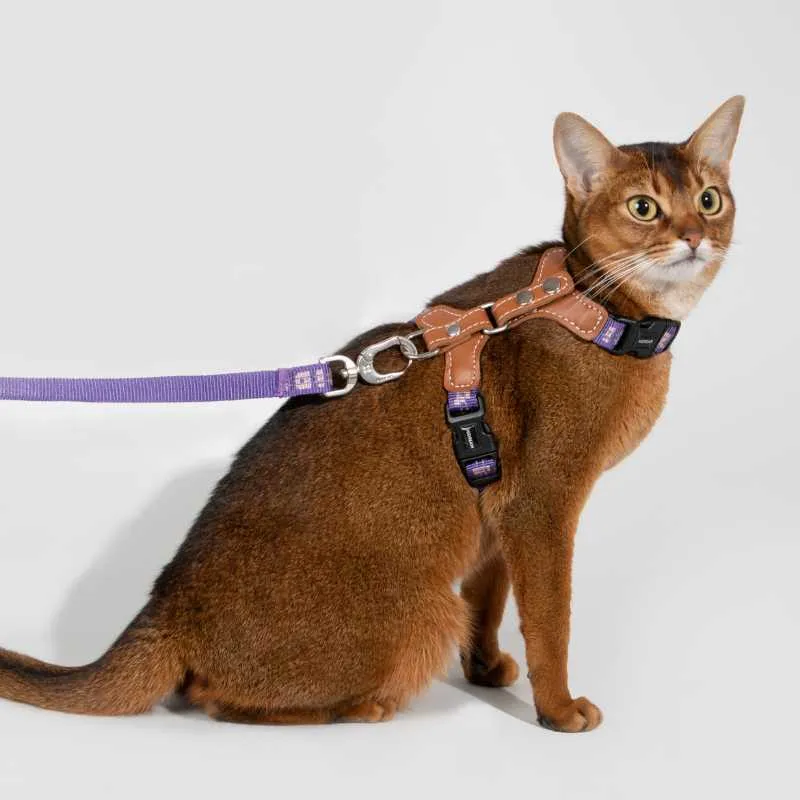 HiDREAM Adventure-Ready Button-On Cat Harness Leash