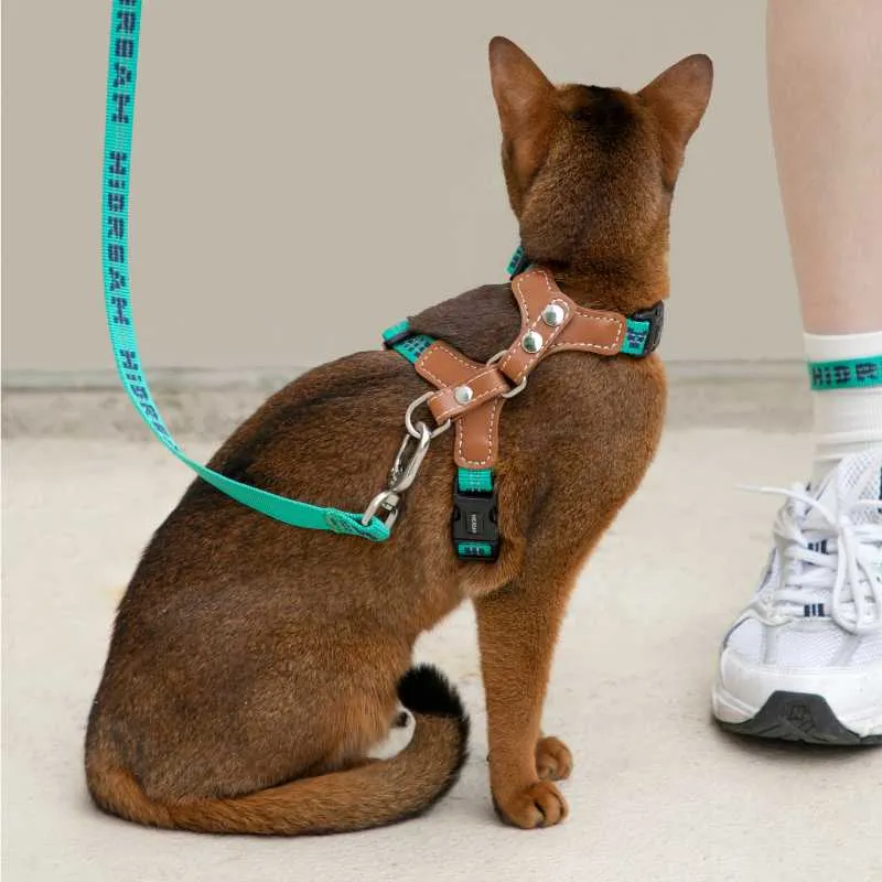 HiDREAM Adventure-Ready Button-On Cat Harness Leash