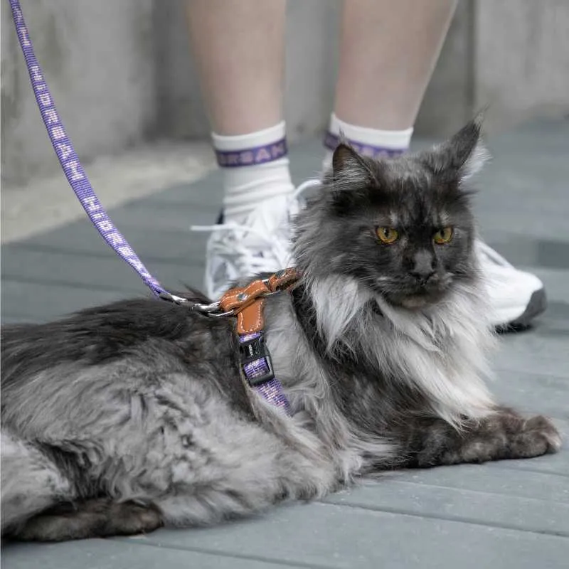 HiDREAM Adventure-Ready Button-On Cat Harness Leash