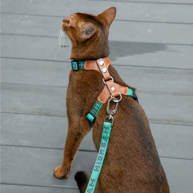 HiDREAM Adventure-Ready Button-On Cat Harness Leash