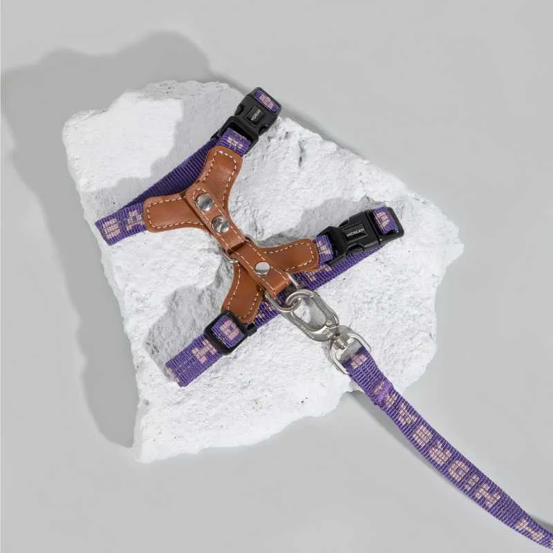 HiDREAM Adventure-Ready Button-On Cat Harness Leash