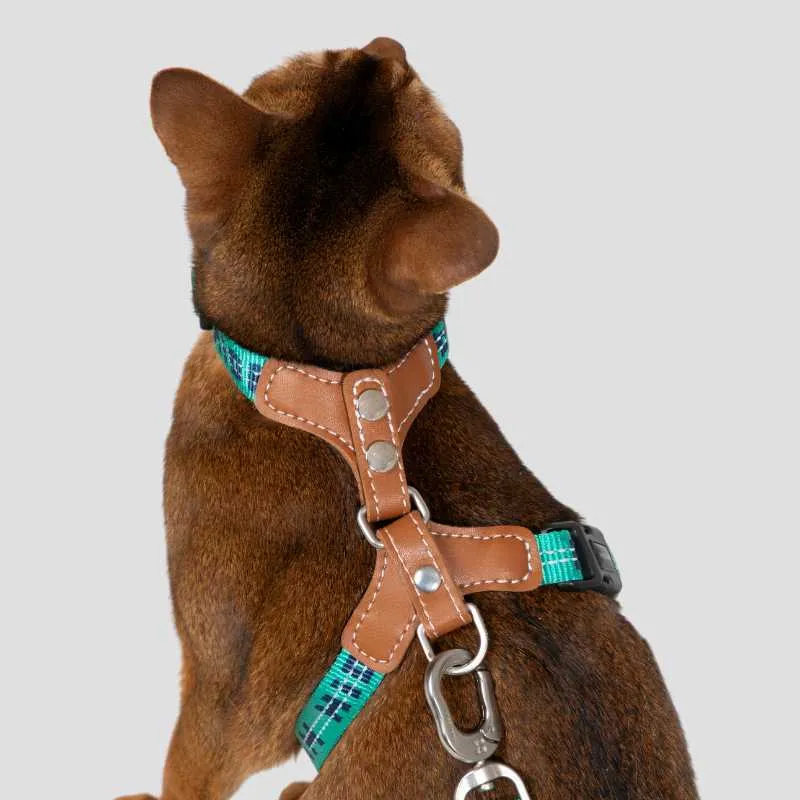 HiDREAM Adventure-Ready Button-On Cat Harness Leash