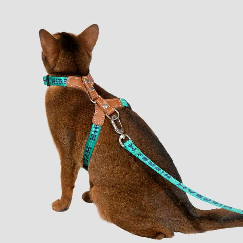 HiDREAM Adventure-Ready Button-On Cat Harness Leash