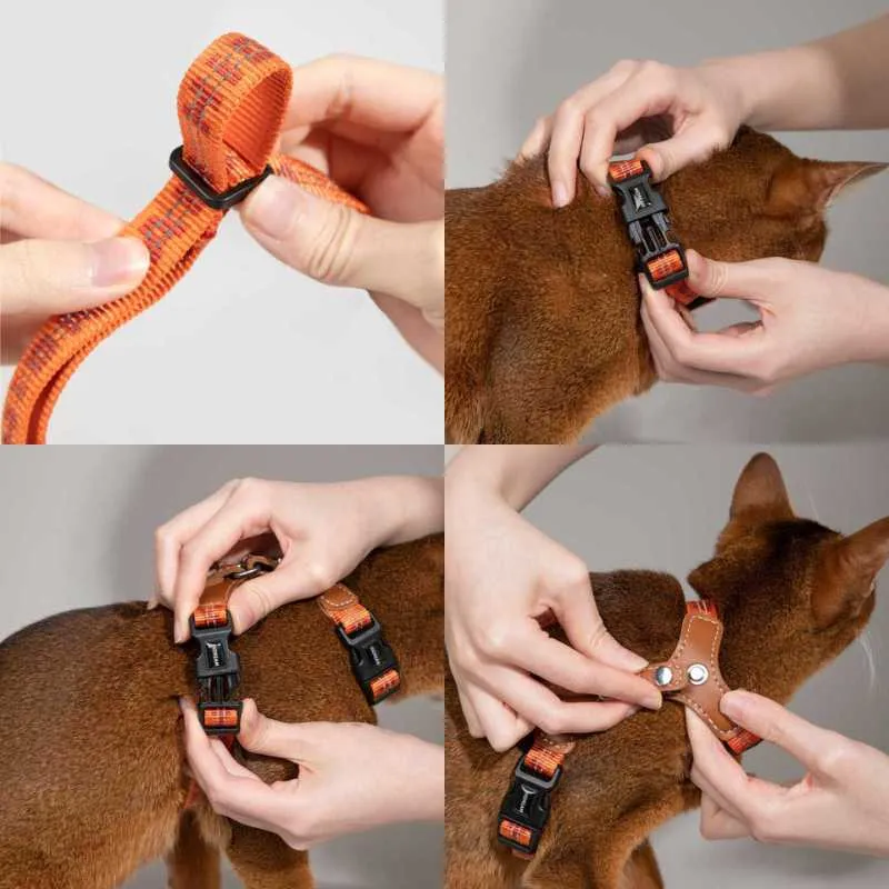 HiDREAM Adventure-Ready Button-On Cat Harness Leash