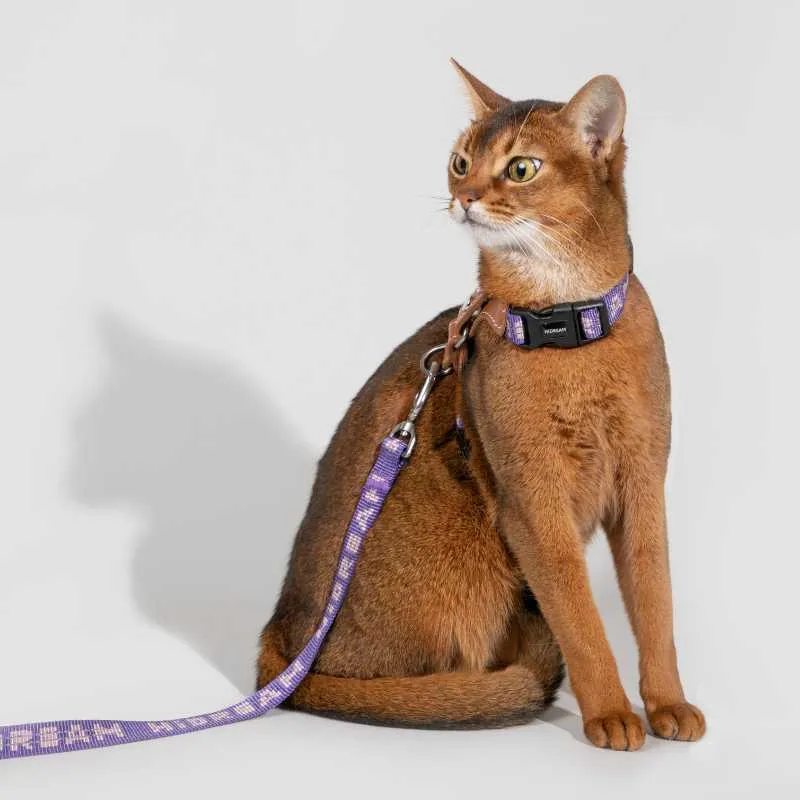HiDREAM Adventure-Ready Button-On Cat Harness Leash