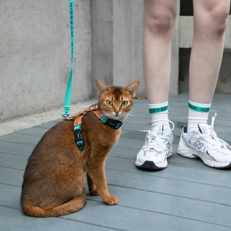 HiDREAM Adventure-Ready Button-On Cat Harness Leash