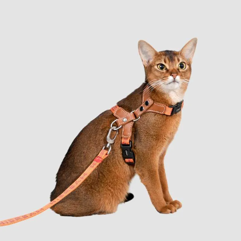 HiDREAM Adventure-Ready Button-On Cat Harness Leash